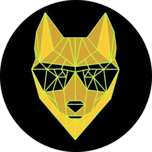 DINGO TOKEN Latest News, Social Media Updates and Insights CryptoRank.io